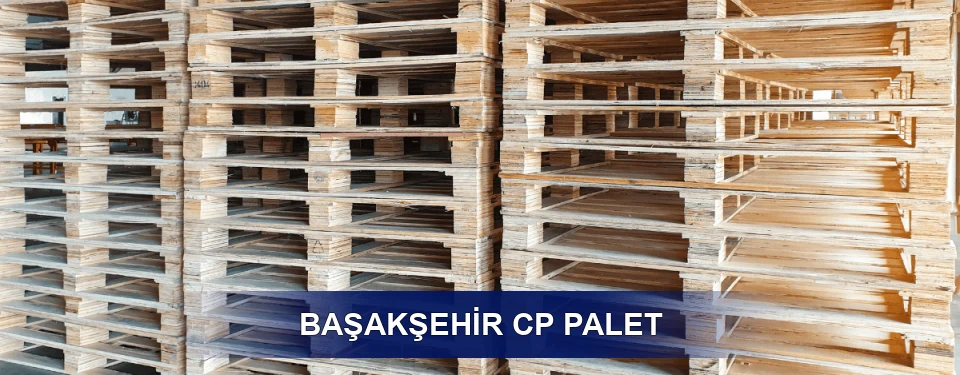 Başakşehir Standart Tipler